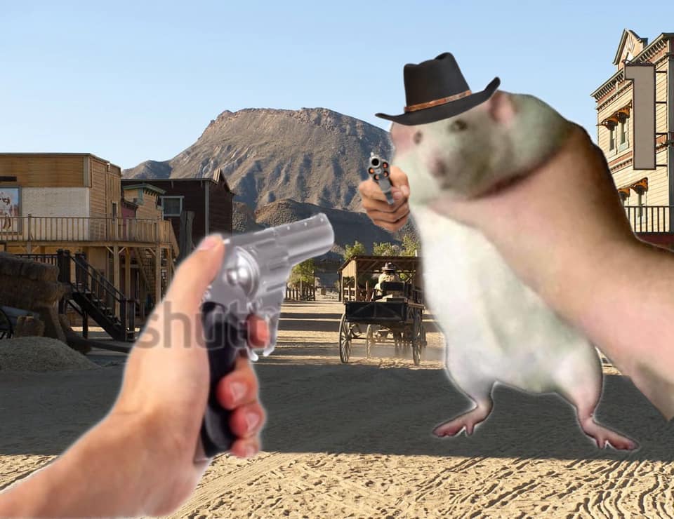 ROBERT THE OUTLAW