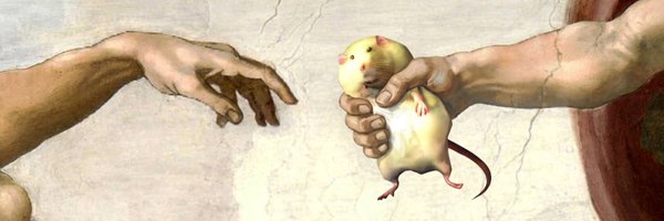 THE CREATION OF ROBERT
