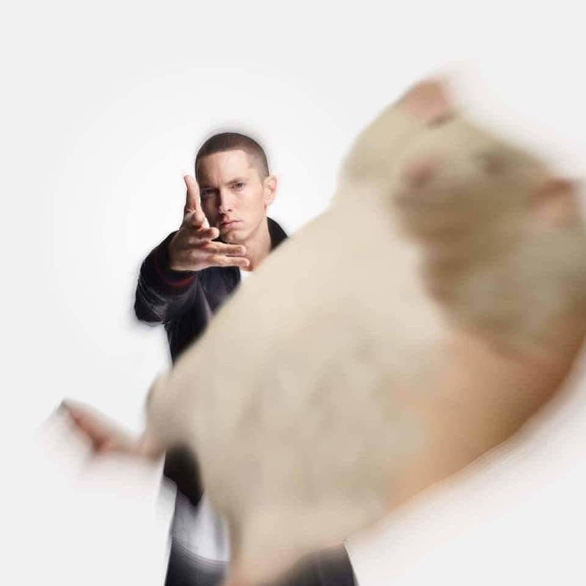EMINEM VS ROBERT