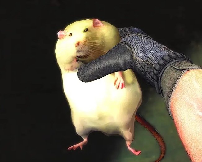 PROTECT ROBERT