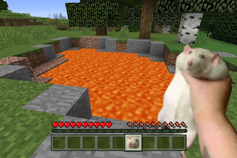 MINECRAFT ROBERT