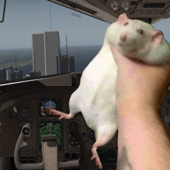 PILOT ROBERT